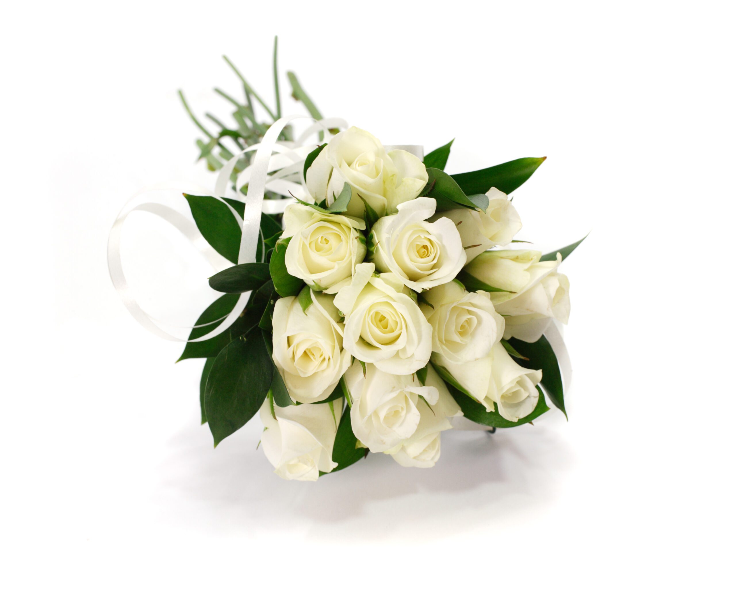White rose flower bouquet or wedding posy on isolated background