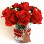 christmas red roses